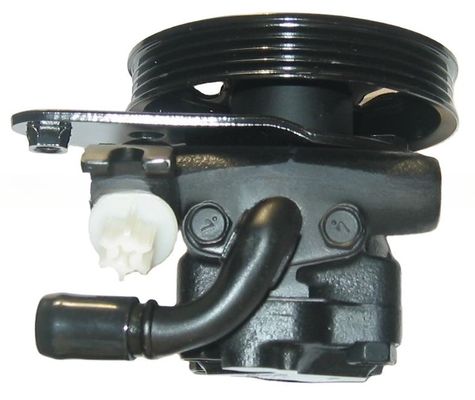 21G72145 Pompa del servosterzo per Nissan Maxima A31 A32 Sostituzione perfetta