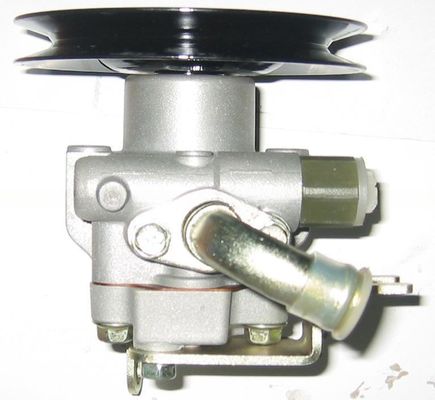 Disegno resistente pompa di sterzo 49110-60G15 per il 1997-2002 Nissan MURANO VG33