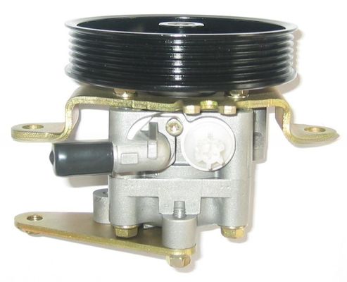 49110-8H305 Pompa di servosterzo per Nissan 2001-2013 Anno X-Trail T30