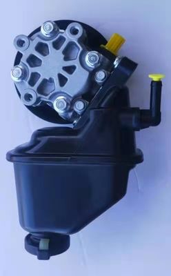 95048324 448188303 135811202 Pompa del servosterzo Per il 2006-2011 Chevrolet Captiva Con 1