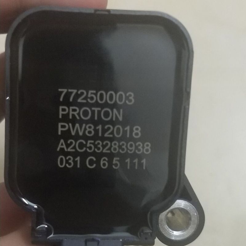 PW812018 44A52008 77250002 per Proton SAGA FL FLX 2008 Costruzione
